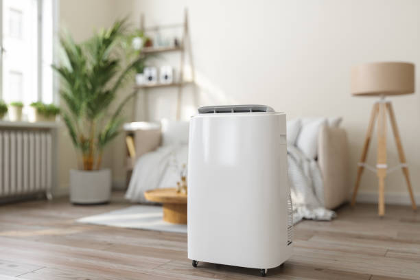 Best Thermostats and Smart Controls in Conestee, SC